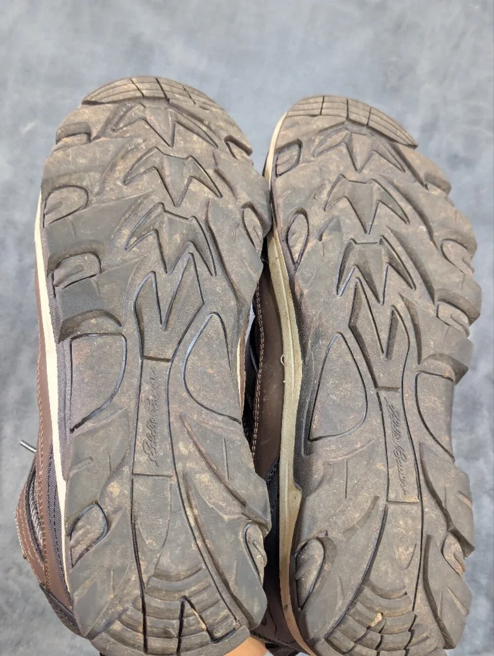Eddie Bauer Men's Leather Graham Waterproof Hiking Boot, Cushioned Insole Sz 11